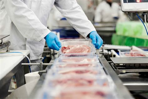 Packaging and Food Processing Solutions 